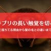 ゴキブリの長い触角を切るとどうなる？床に落ちてる＆ない理由を徹底解説