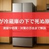 ゴキブリが冷蔵庫の下で死んだ原因から清掃・対策まで徹底ガイド