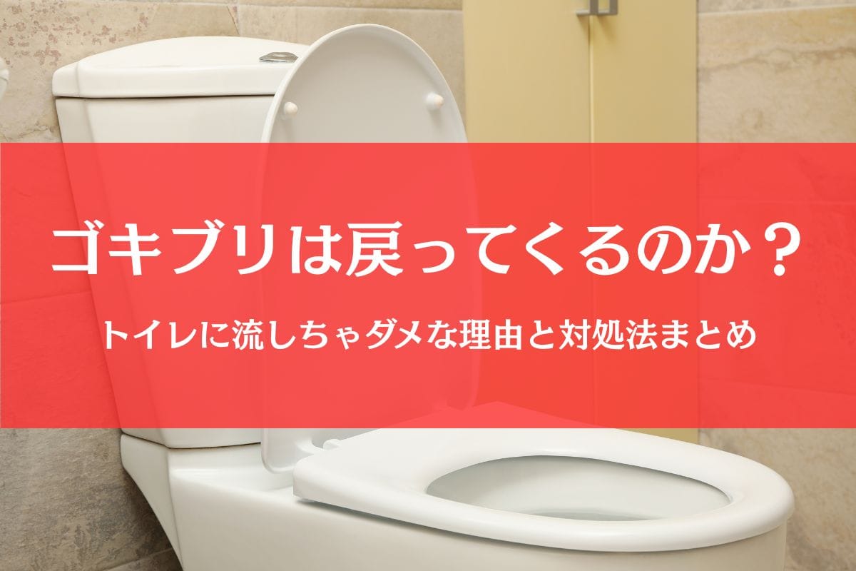 ゴキブリをトイレに流すと戻ってくるからだめ？正しい捨て方や対処法まとめ