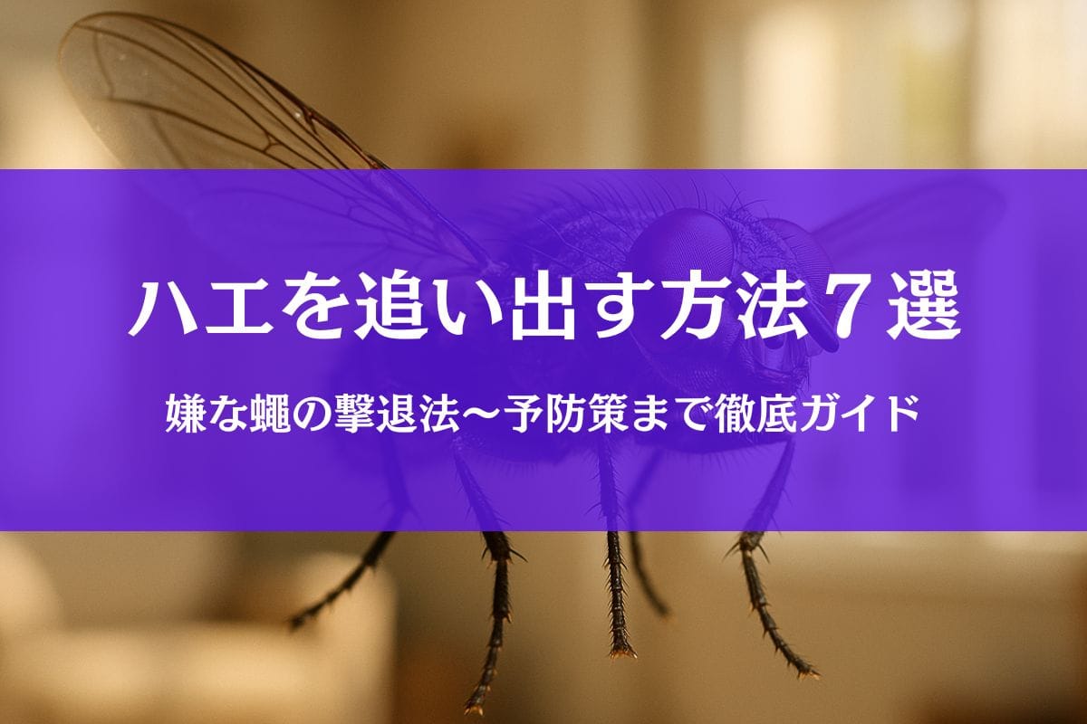 ハエを追い出す方法７選｜家や部屋・車に侵入した蠅を確実に撃退する