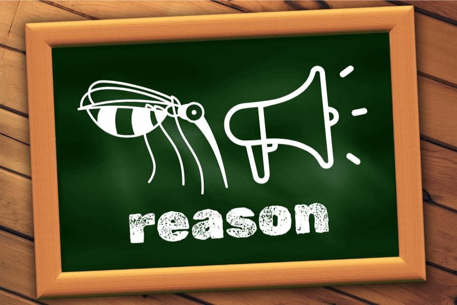 蚊が耳元に来る＆うるさい理由を知っておこう