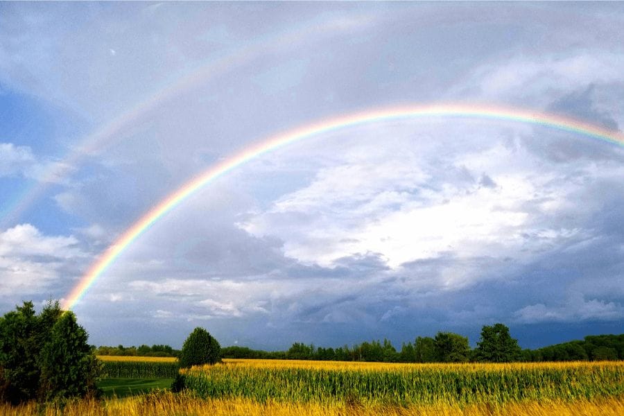 蚊が耳元でうるさい時のスピリチュアルな意味とは