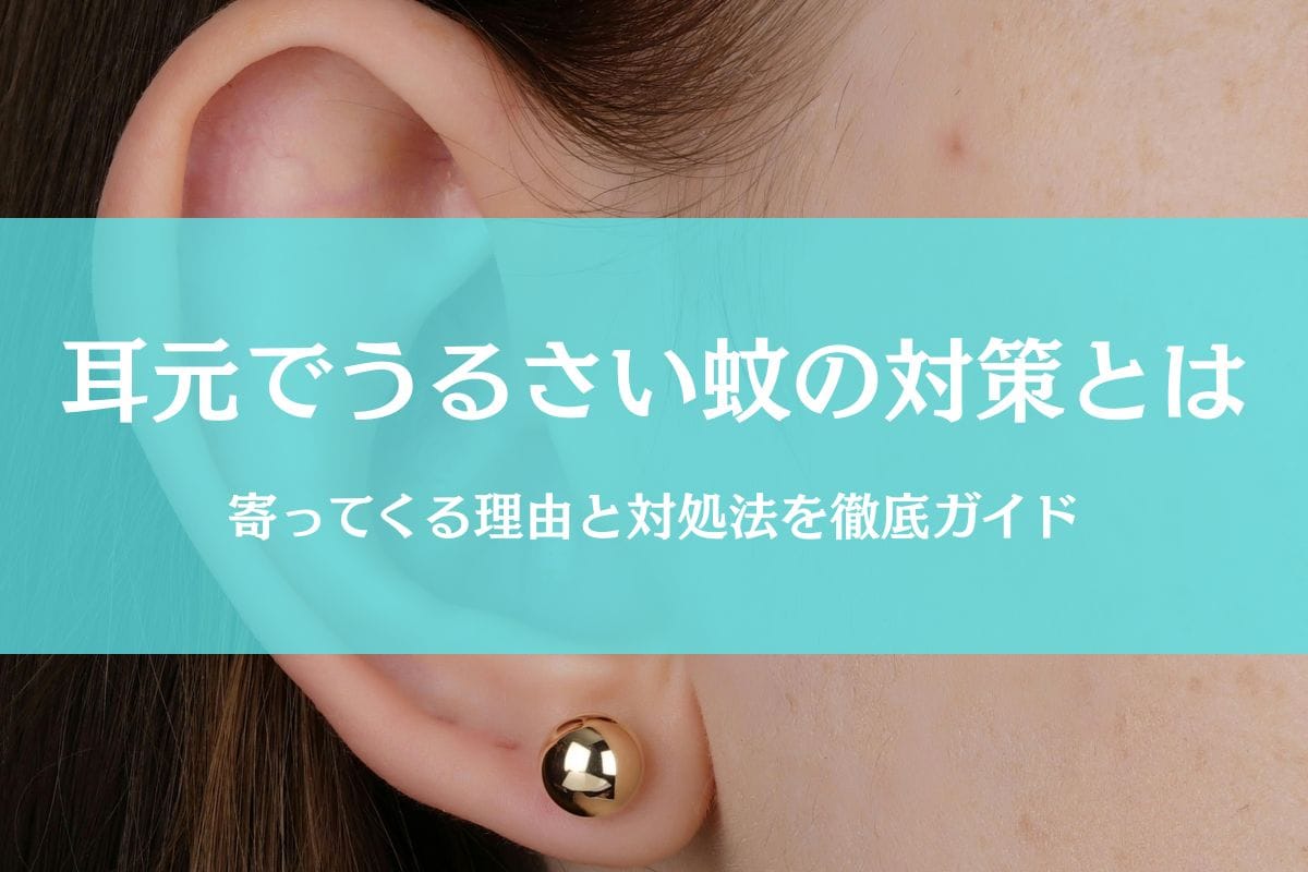 蚊が耳元でうるさい時の３つの対策｜なぜ来るか＆対処法を徹底ガイド