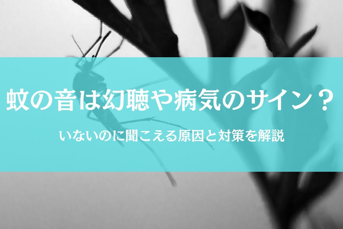 蚊の音が聞こえるのにいない時は幻聴や病気のサイン？原因と対策を徹底解説