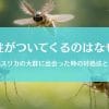 蚊柱がついてくる理由とは｜気持ち悪い虫の大群から身を守る方法