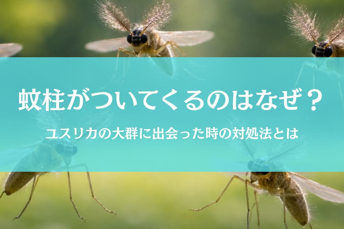 蚊柱がついてくる理由とは｜気持ち悪い虫の大群から身を守る方法