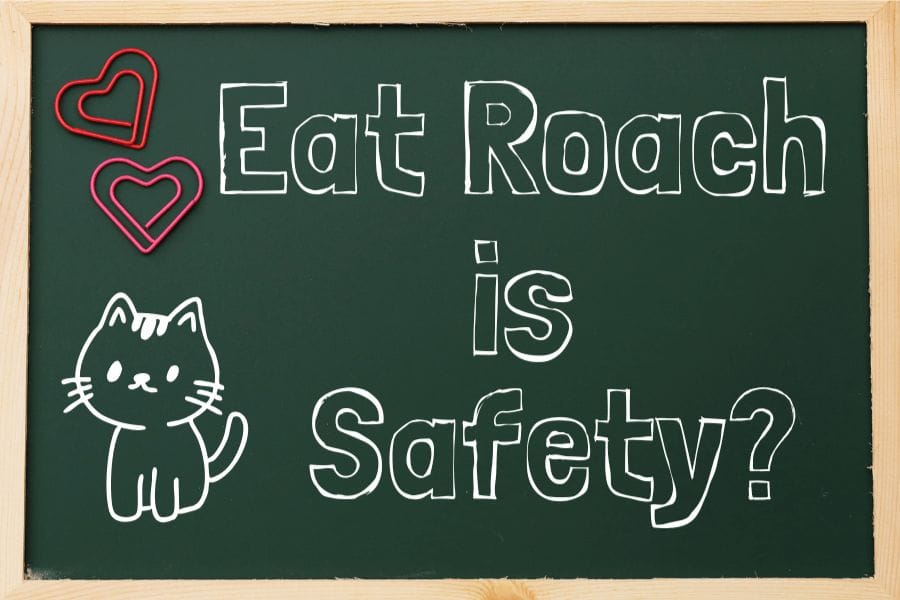 猫がゴキブリを食べても大丈夫なのか?