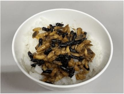 スズメバチの滋養強壮の栄養食品としての側面