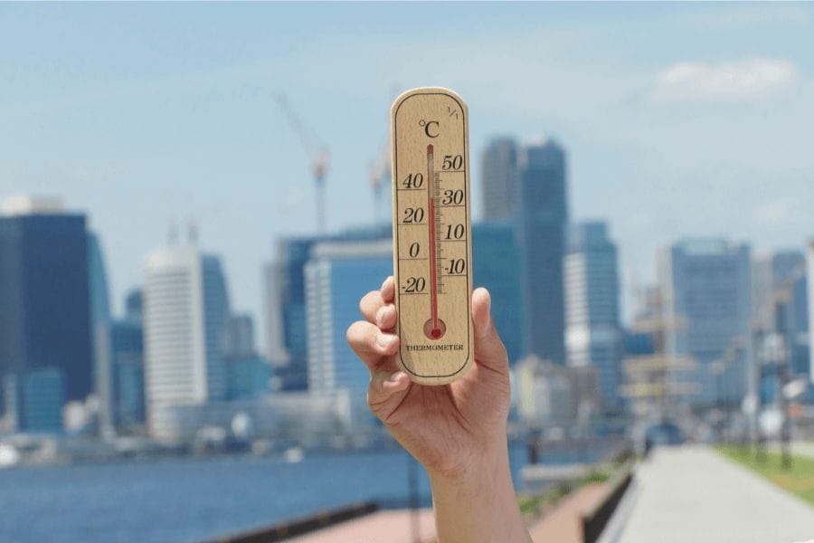 スズメバチ増加の原因は地球温暖化？