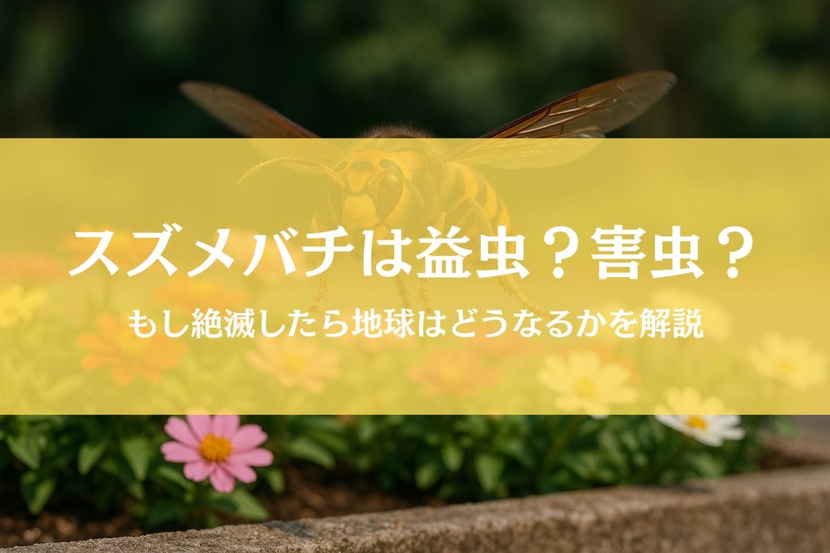 スズメバチは益虫か害虫か問題を解決！絶滅したらどうなるか徹底解説