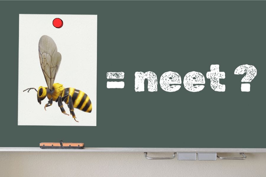 スズメバチのオスはニートだから働かないって本当？