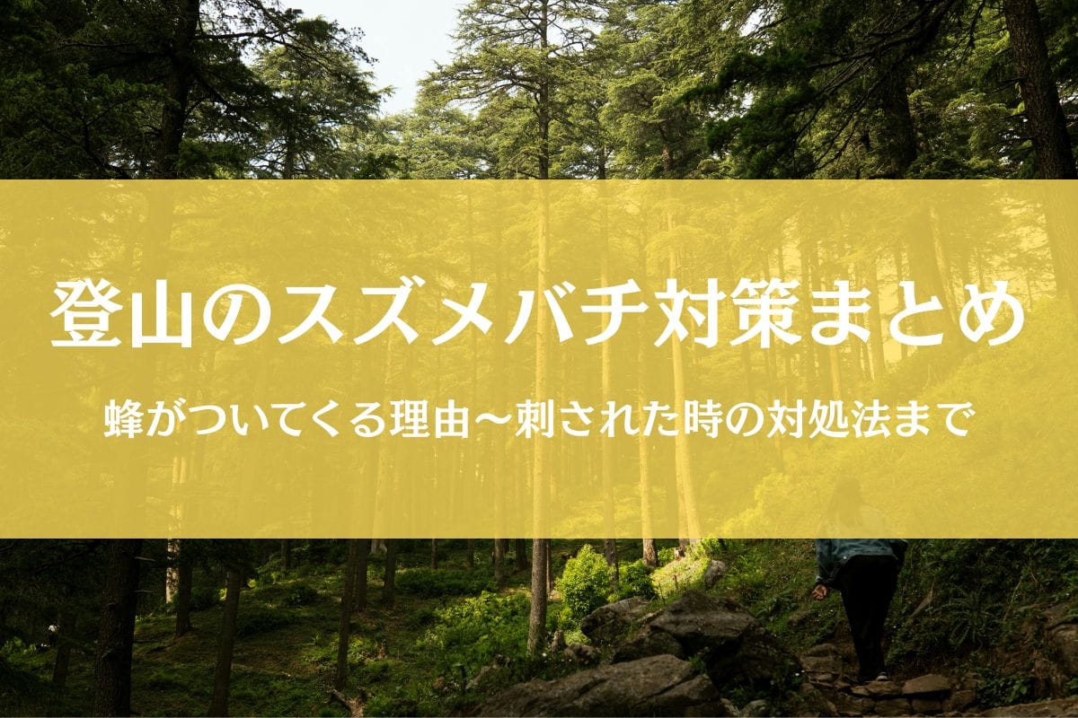 登山のスズメバチ対策まとめ｜スプレーなど対策グッズ～危険な時期まで