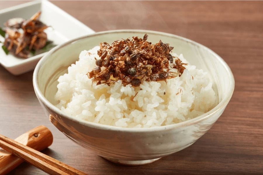 日本にもゴキブリ料理はある？