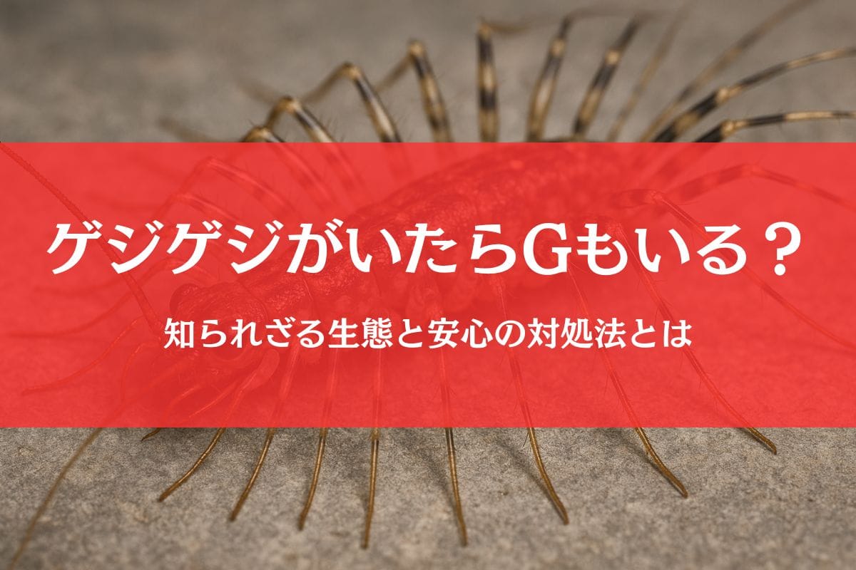 ゲジゲジが一匹いたらゴキブリもいる?謎の生態と安全な対処法を徹底ガイド