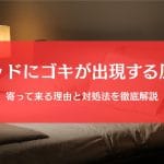 ゴキブリがベッドに現れる原因と撃退・予防の徹底ガイド