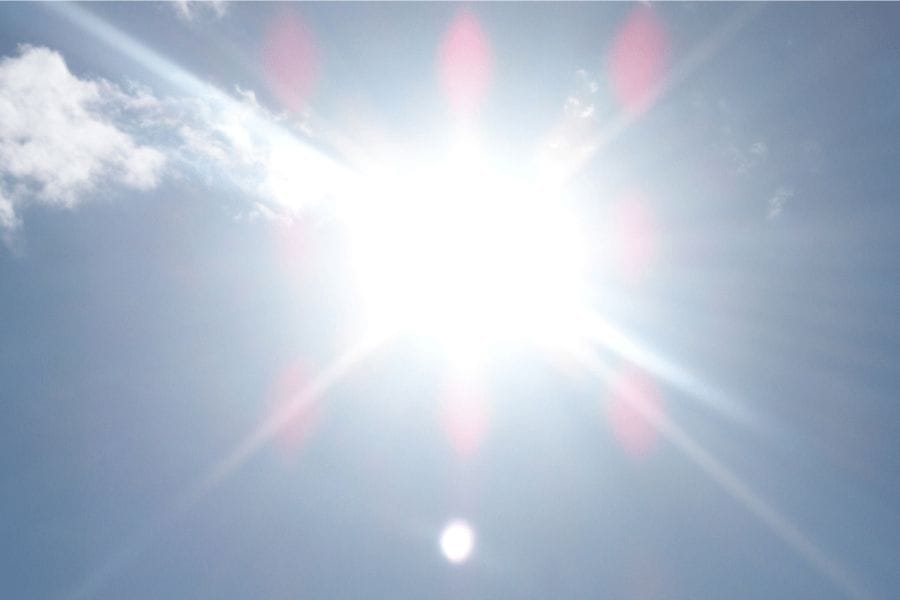 ゴキブリが熱に弱いって知ってた？