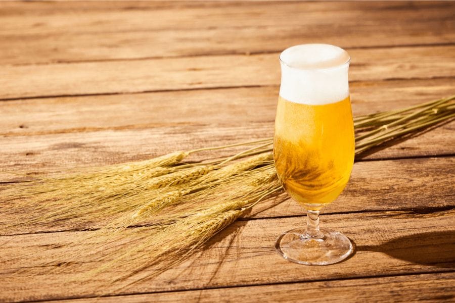 ゴキブリはアルコール好き？噂の真偽