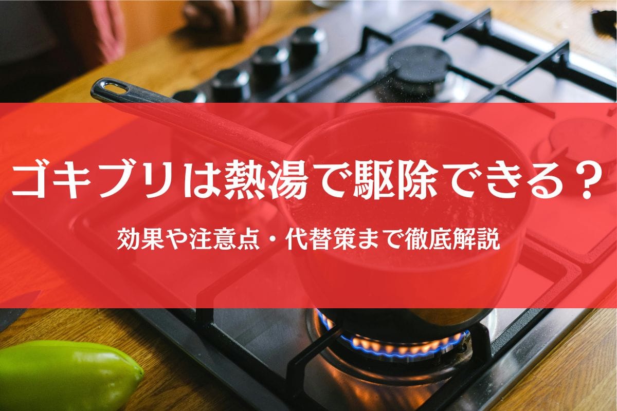 ゴキブリに熱湯は最強？それとも死なない？効果と失敗しない対処法