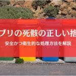 ゴキブリの死骸の捨て方完全ガイド｜触れずに処理して衛生的な住まいを守る