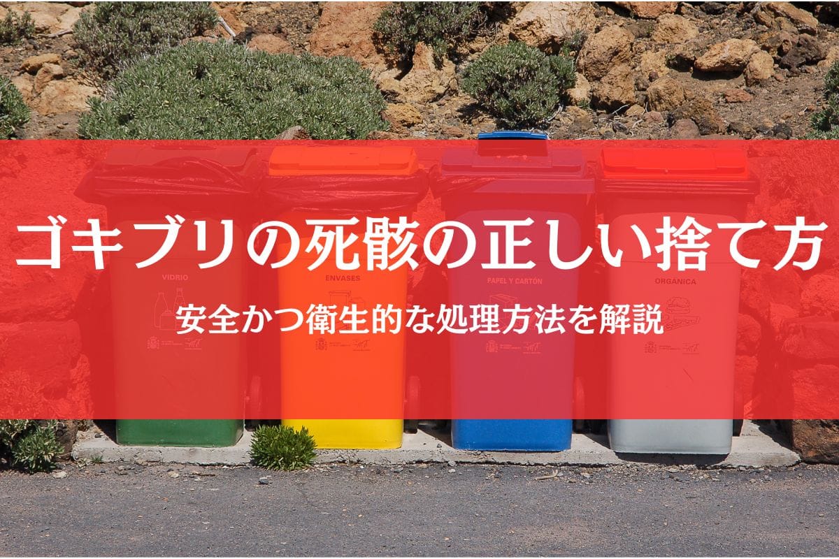 ゴキブリの死骸の捨て方完全ガイド｜触れずに処理して衛生的な住まいを守る