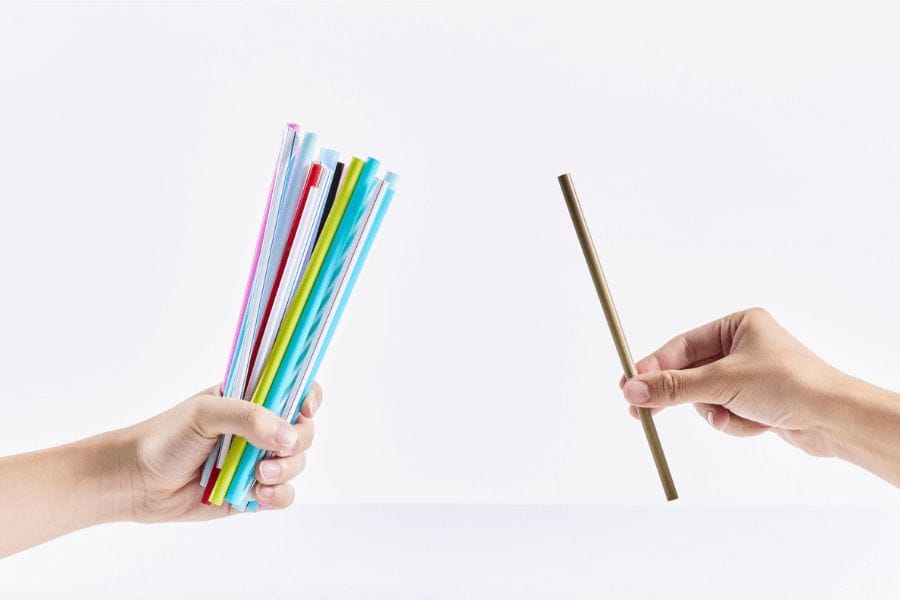 単眼と複眼の違いをわかりやすく比較