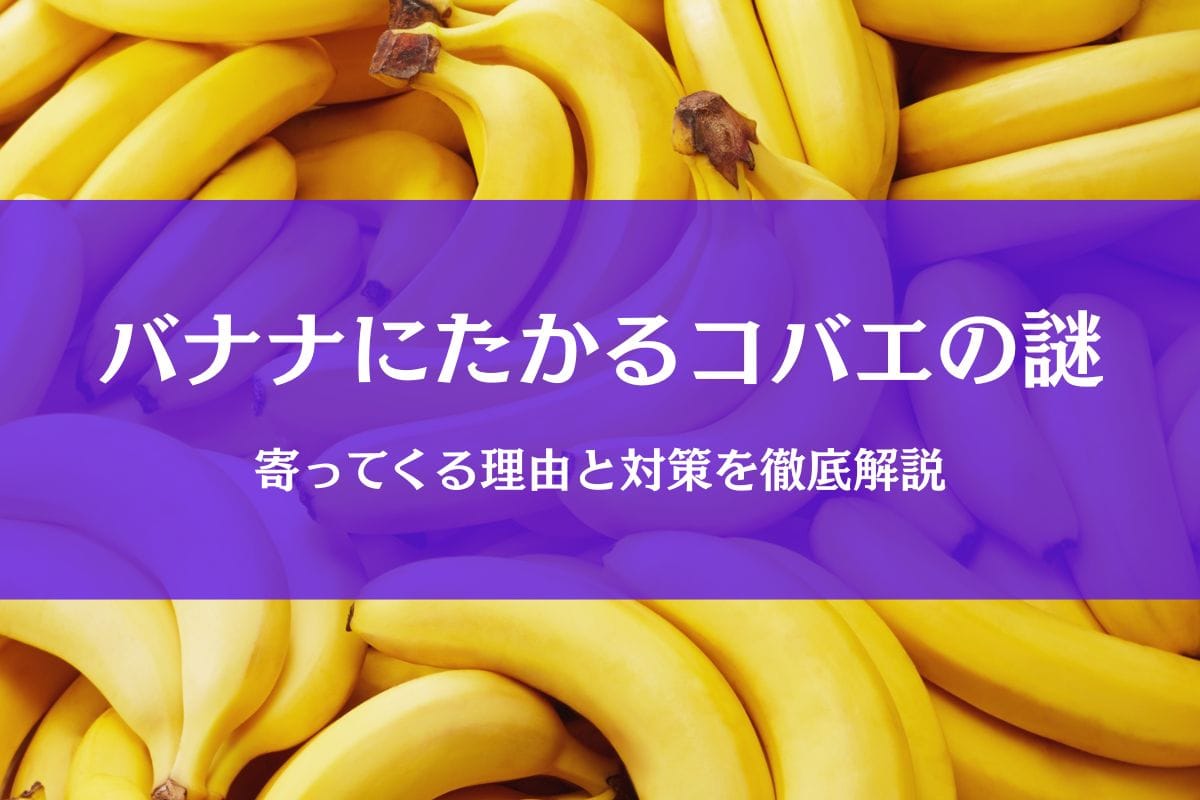 コバエがバナナにたかるのはなぜ?理由と対策を徹底ガイド