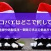 コバエは冬どこにいる？ハエの冬越しとカブトムシの幼虫の意外な関係