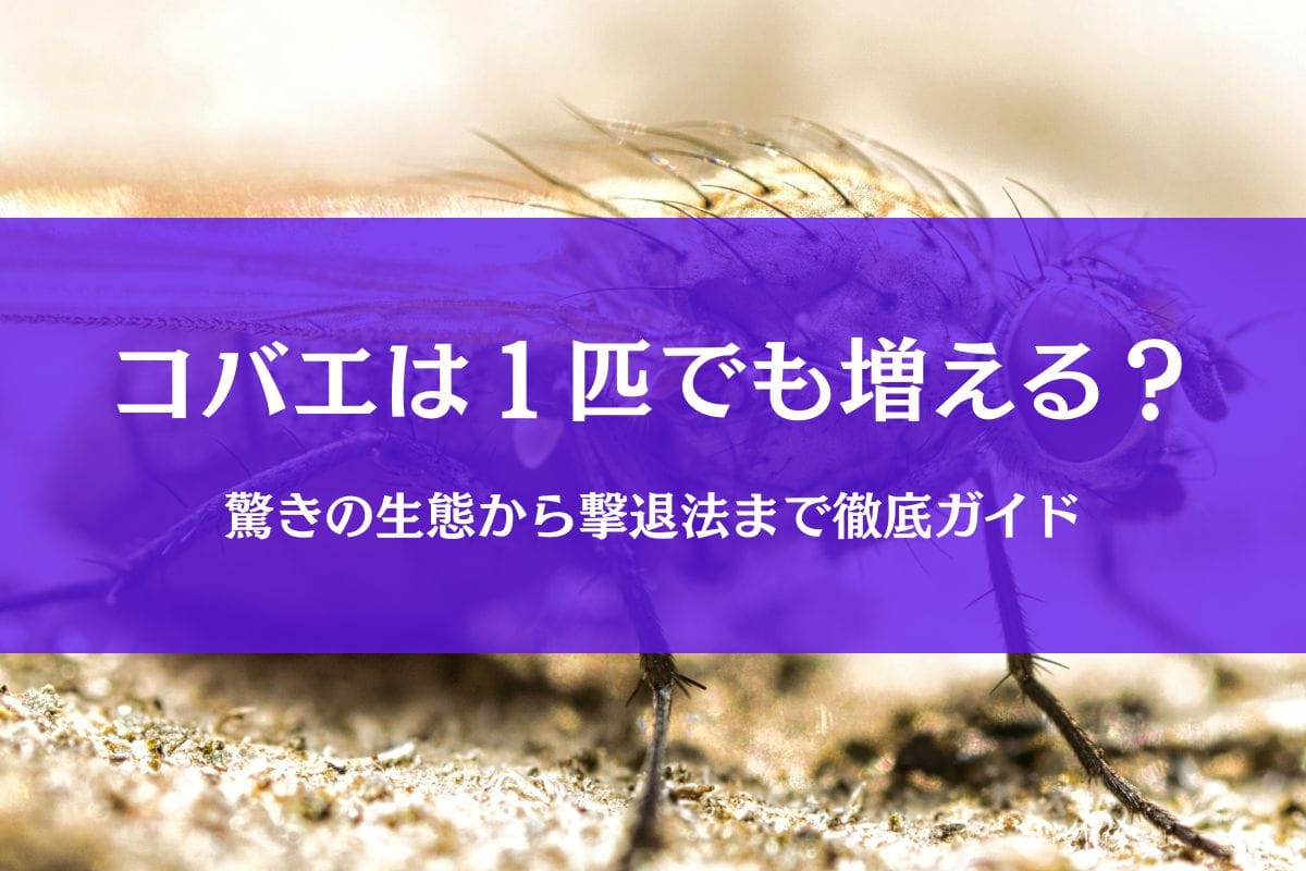 コバエが増える原因【保存版】一匹でも増える理由~撃退法まで徹底解説