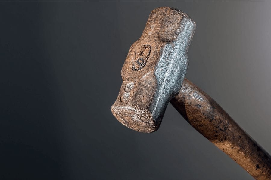 ゴキブリを潰すと卵が散る?