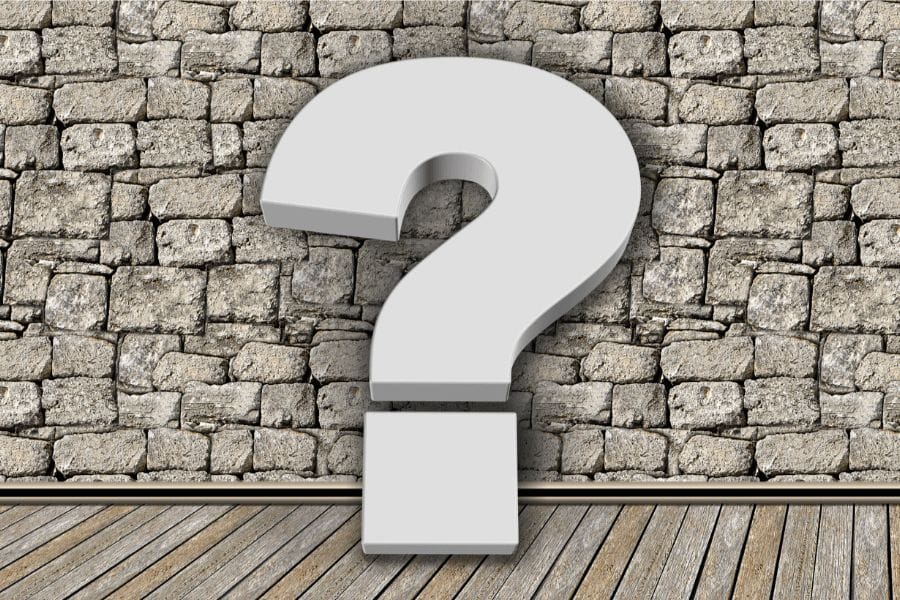 ゴキブリは卵を土の中に産む?