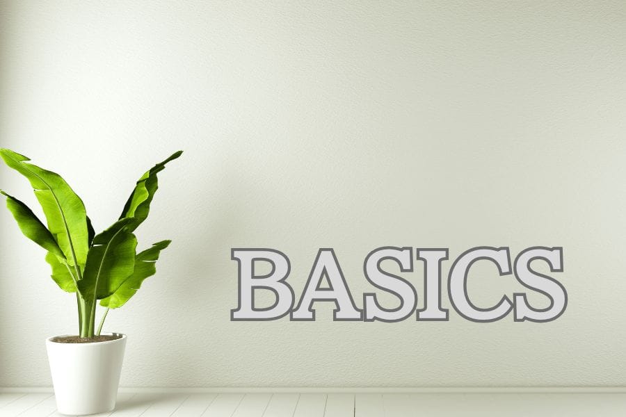 観葉植物まわりでできるゴキブリ対策の基本