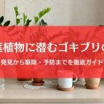 観葉植物に潜むゴキブリの卵を見逃さない！発見から駆除・予防まで徹底ガイド