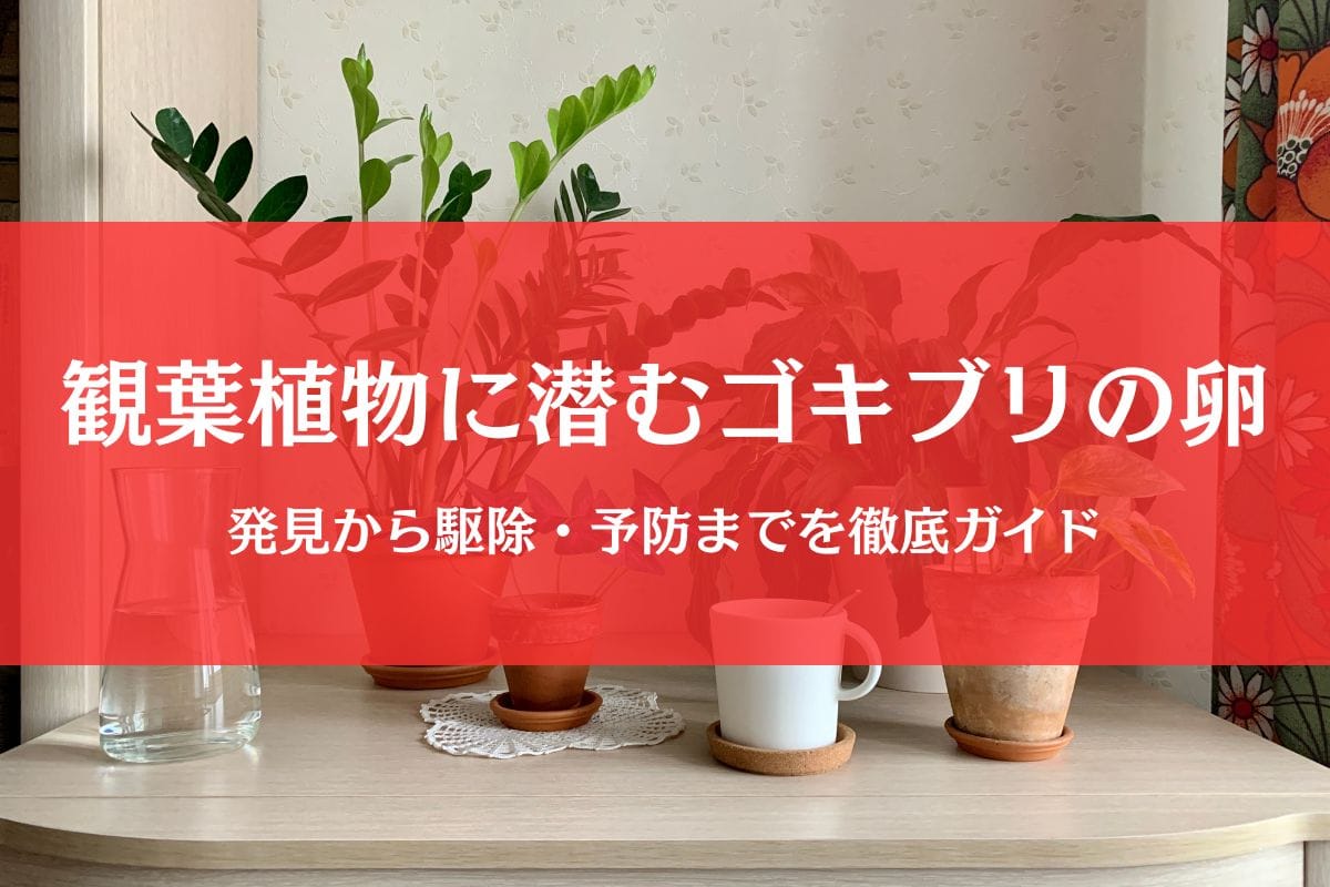 観葉植物に潜むゴキブリの卵を見逃さない!発見から駆除・予防まで徹底ガイド