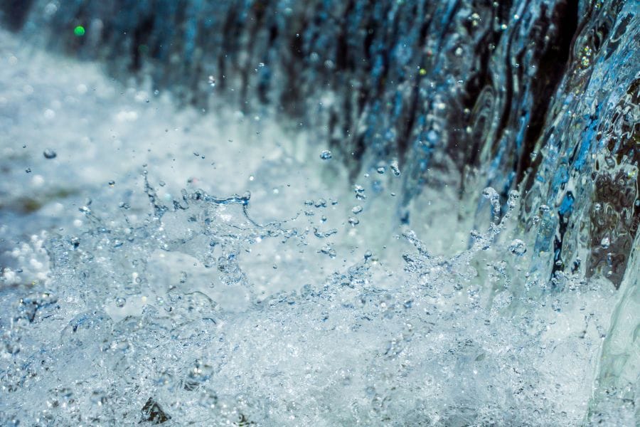 カメムシがいる水場は、水がきれいなの?