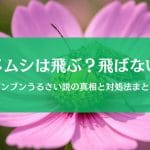 カメムシは飛ぶのか飛ばないのか？「飛ぶ音がうるさい」噂は真実なのか