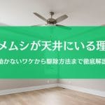 カメムシが天井で動かない！捕まえ方＆部屋から追い出す方法まとめ