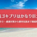 沖縄のゴキブリはサイズが違う？生息数・特徴・遭遇対策まで徹底ガイド