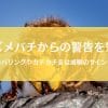 スズメバチの威嚇音が怖すぎる件｜カチカチ＆羽音ブーンは最後通告？