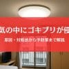 ゴキブリが電気の中に侵入！原因・対処法・就寝前の予防策を完全ガイド