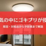 ゴキブリが電気の中に侵入！原因・対処法・就寝前の予防策を完全ガイド