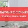 ゴキブリは風呂場にどこから来る？侵入経路と撃退・予防策を完全解説