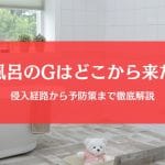 ゴキブリは風呂場にどこから来る？侵入経路と撃退・予防策を完全解説