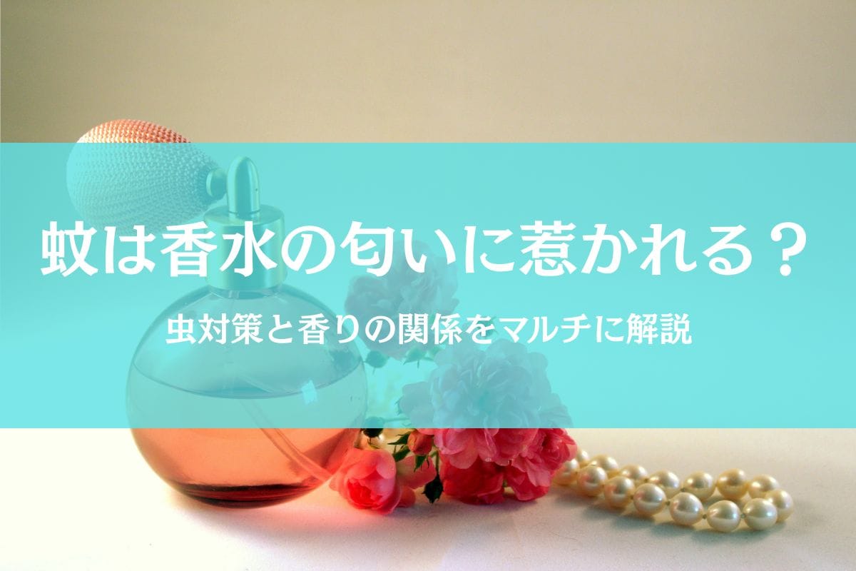 蚊は香水の匂いが大好き？それとも嫌がる？虫対策における香り選びとは