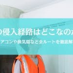 蚊の侵入経路はエアコンの可能性大？どこから入ってくるのか全ルートを徹底検証