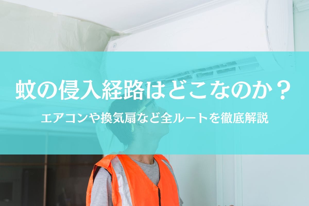 蚊の侵入経路はエアコンの可能性大?どこから入ってくるのか全ルートを徹底検証