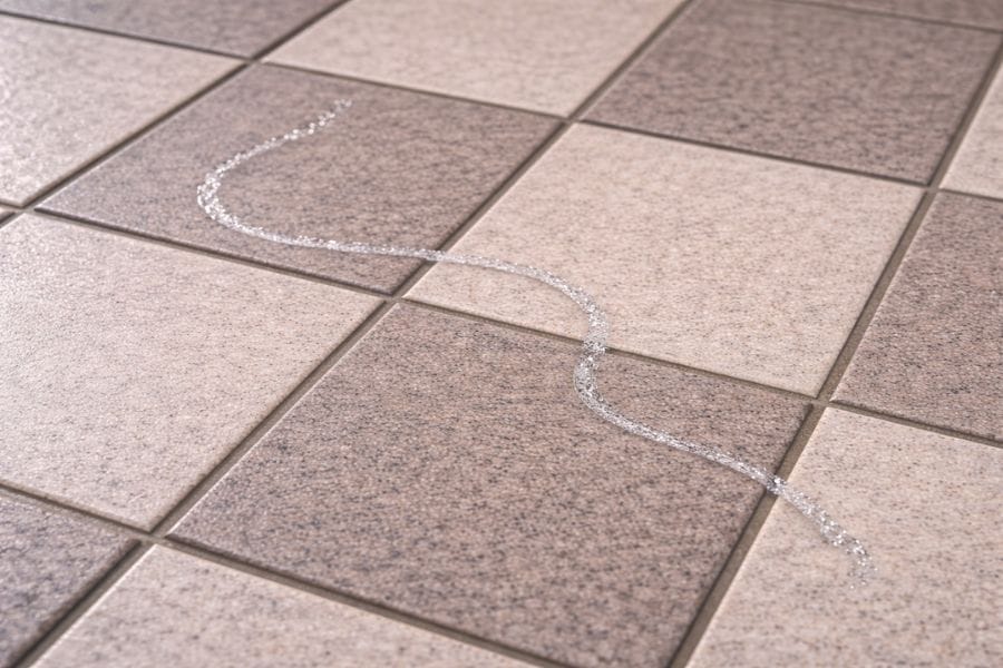 ナメクジが這った玄関のタイルは消毒すべき？