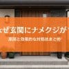 ナメクジが玄関にくる原因とは「なぜ？」を学んで対策しよう！