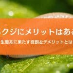ナメクジのメリット５選｜生態系の役割とデメリットをまとめて解説