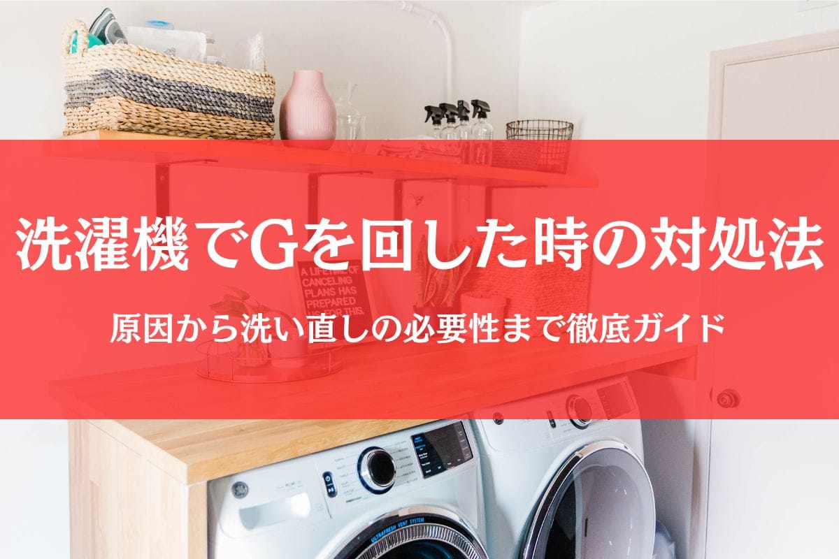 洗濯機でゴキブリと一緒に回した洗濯物は洗い直し必須？原因から対策まで徹底ガイド