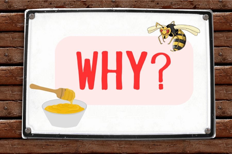 スズメバチの蜂蜜漬けはなぜ作られるようになったのか？